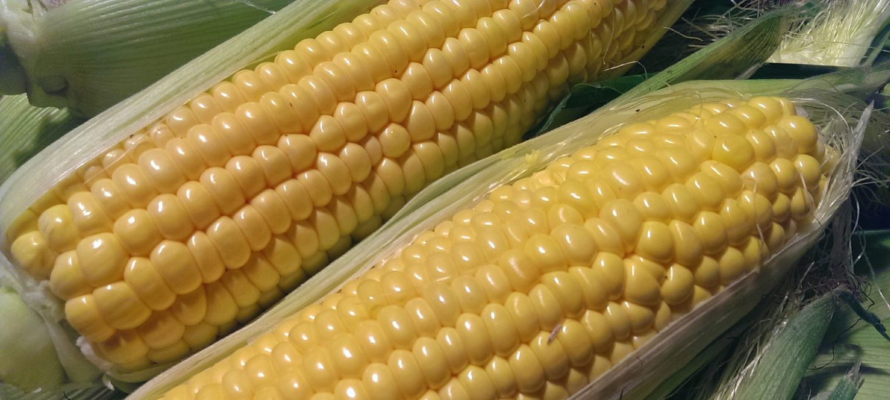 Slide-Sweetcorn.jpg