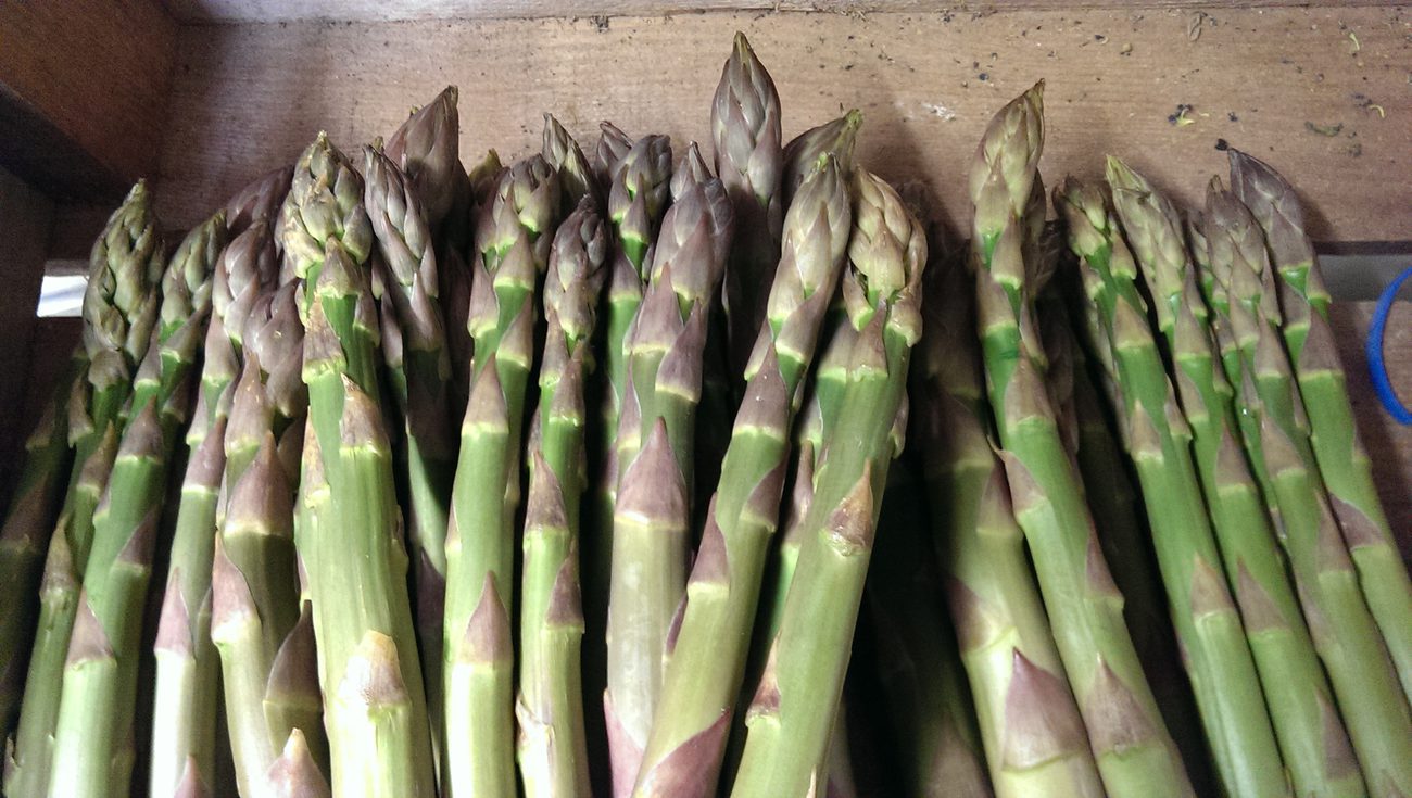 delicious asparagus