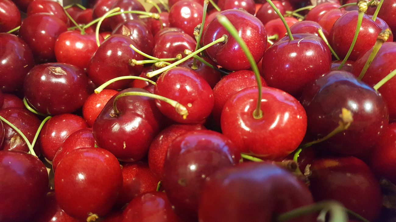 Kent Cherries are NOW IN